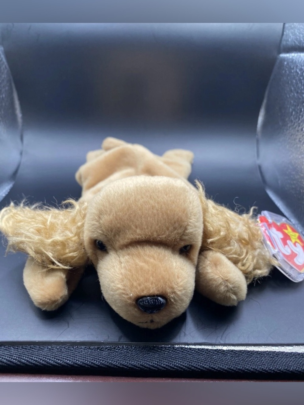 Spunky the Cocker Spaniel Beanie Baby NWT